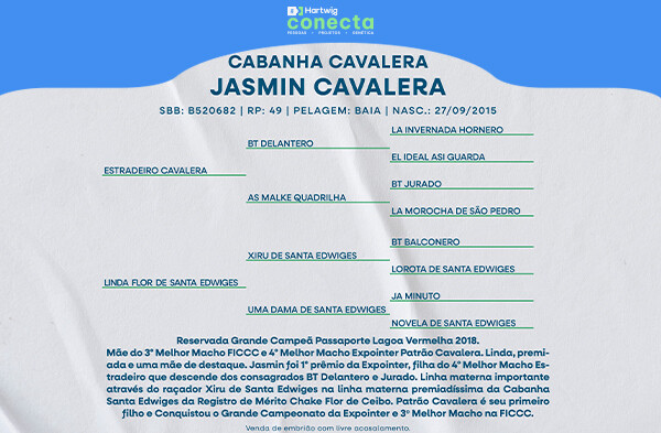 Geração JASMIN CAVALERA