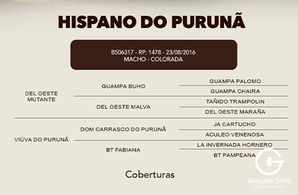 Geração COBERTURA HISPANO DO PURUNA 