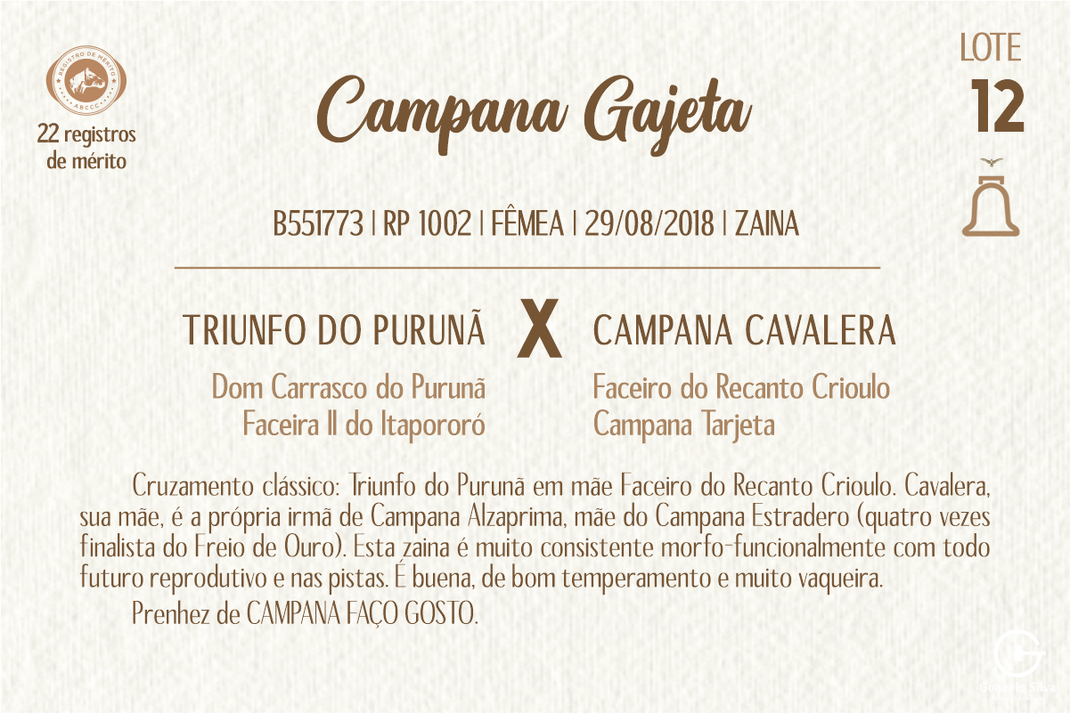 Geração CAMPANA GAJETA