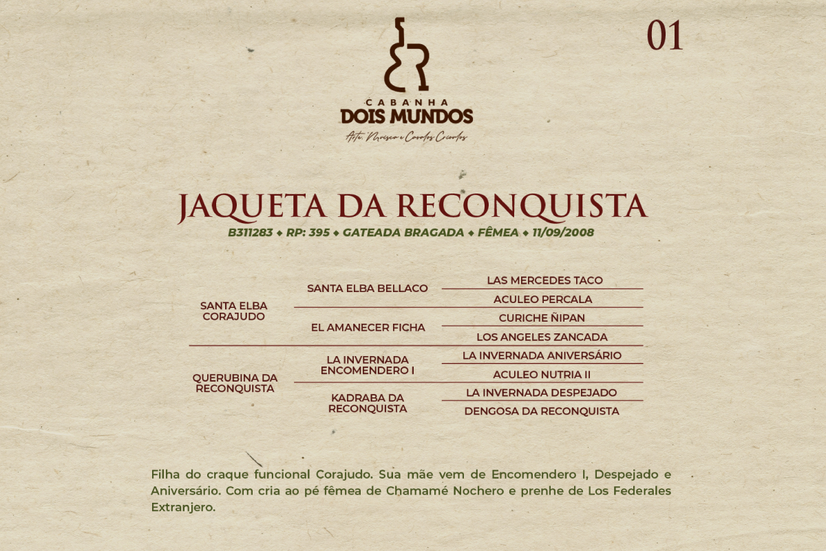Geração JAQUETA DA RECONQUISTA