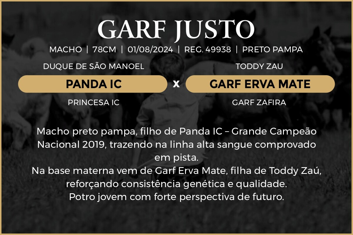 Geração GARF JUSTO