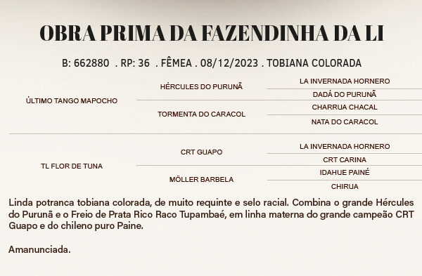 Geração OBRA PRIMA DA FAZENDINHA DA LI