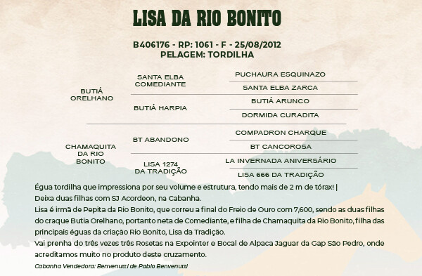 Geração LISA DA RIO BONITO