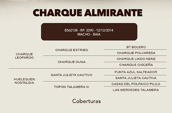 Geração COBERTURA CHARQUE ALMIRANTE 