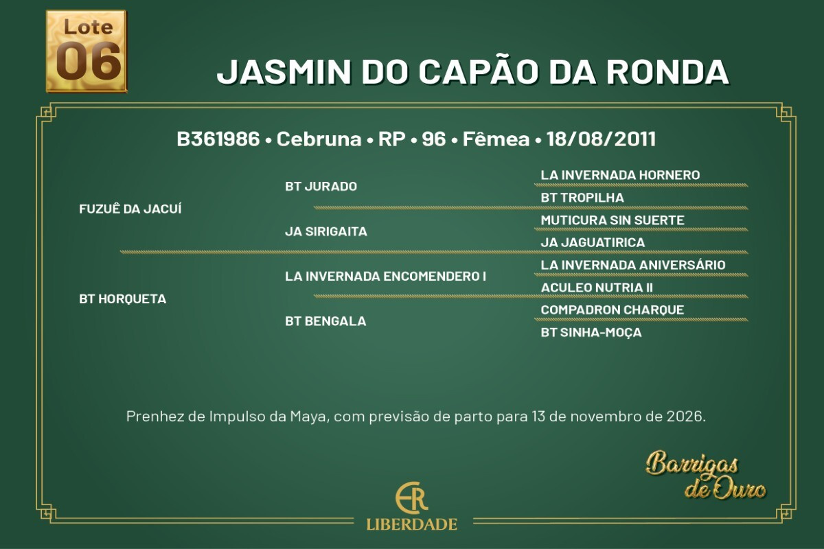 Geração JASMIN DO CAPÃO DA RONDA