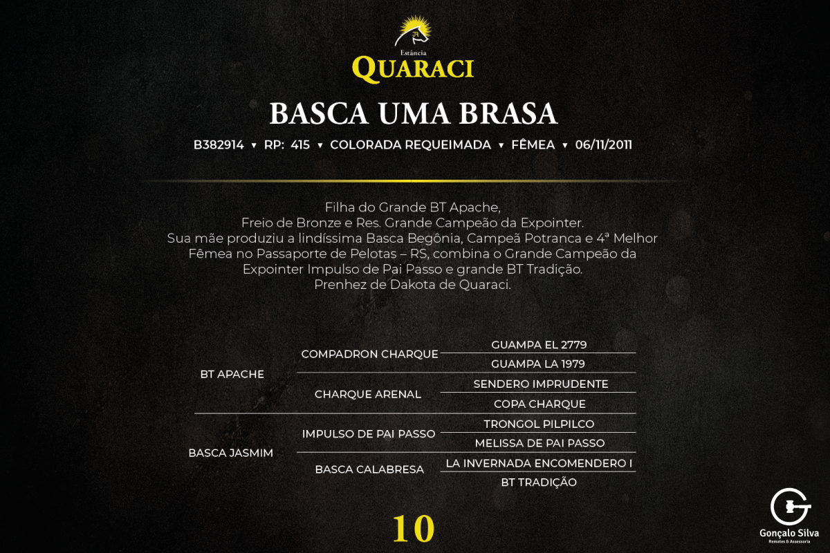 Geração BASCA UMA BRASA