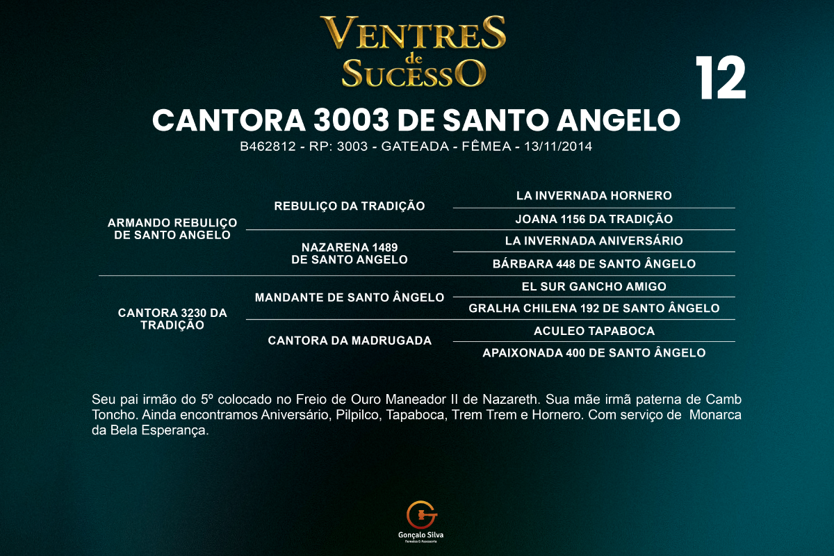 Geração CANTORA 3003 DE SANTO ANGELO 