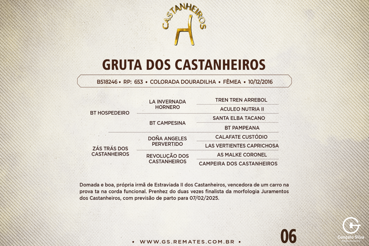 Geração GRUTA DOS CASTANHEIROS