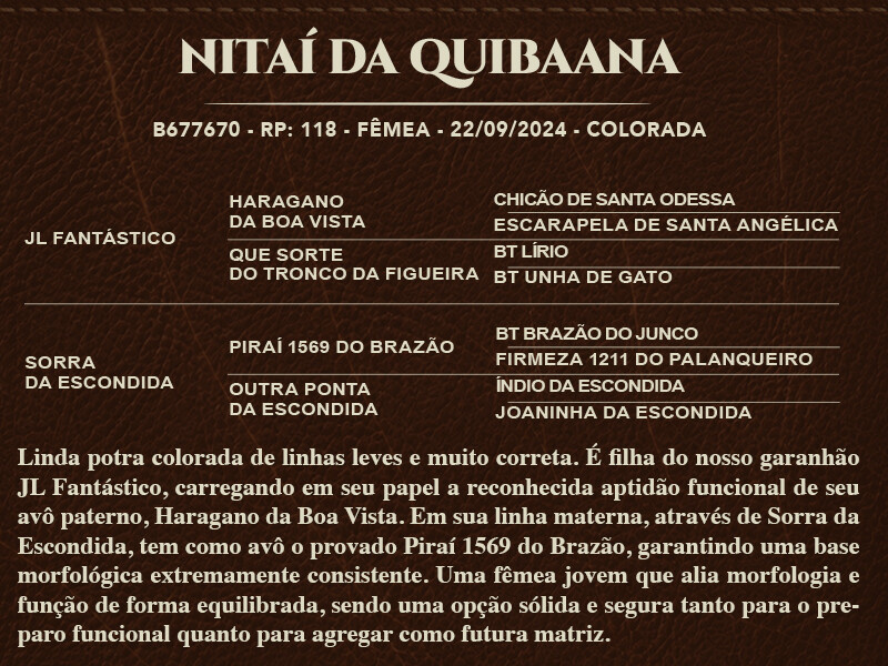 Geração NITAI DA QUIBAANA