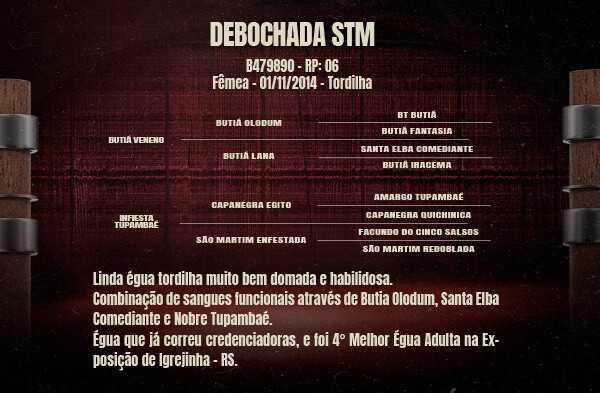 Geração DEBOCHADA STM