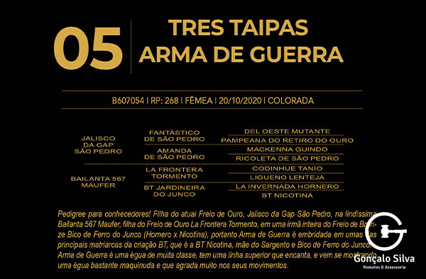 Geração TRÊS TAIPAS ARMA DE GUERRA