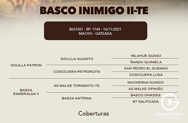 Geração COBERTURA BASCO INIMIGO II-TE