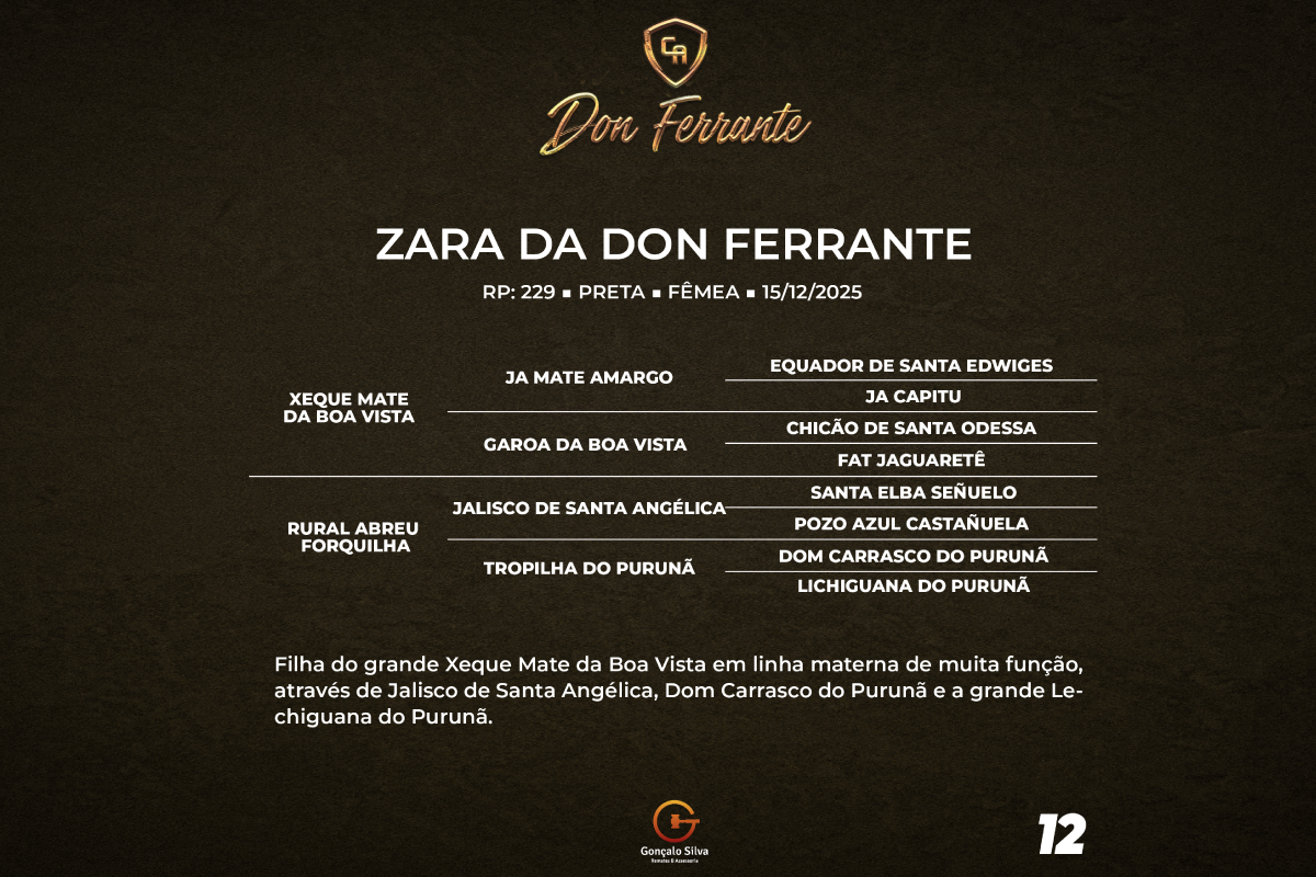 Geração ZARA DA DON FERRANTE 
