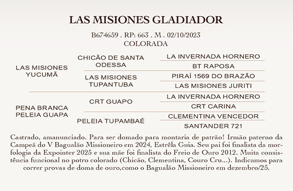 Geração LAS MISIONES GLADIADOR