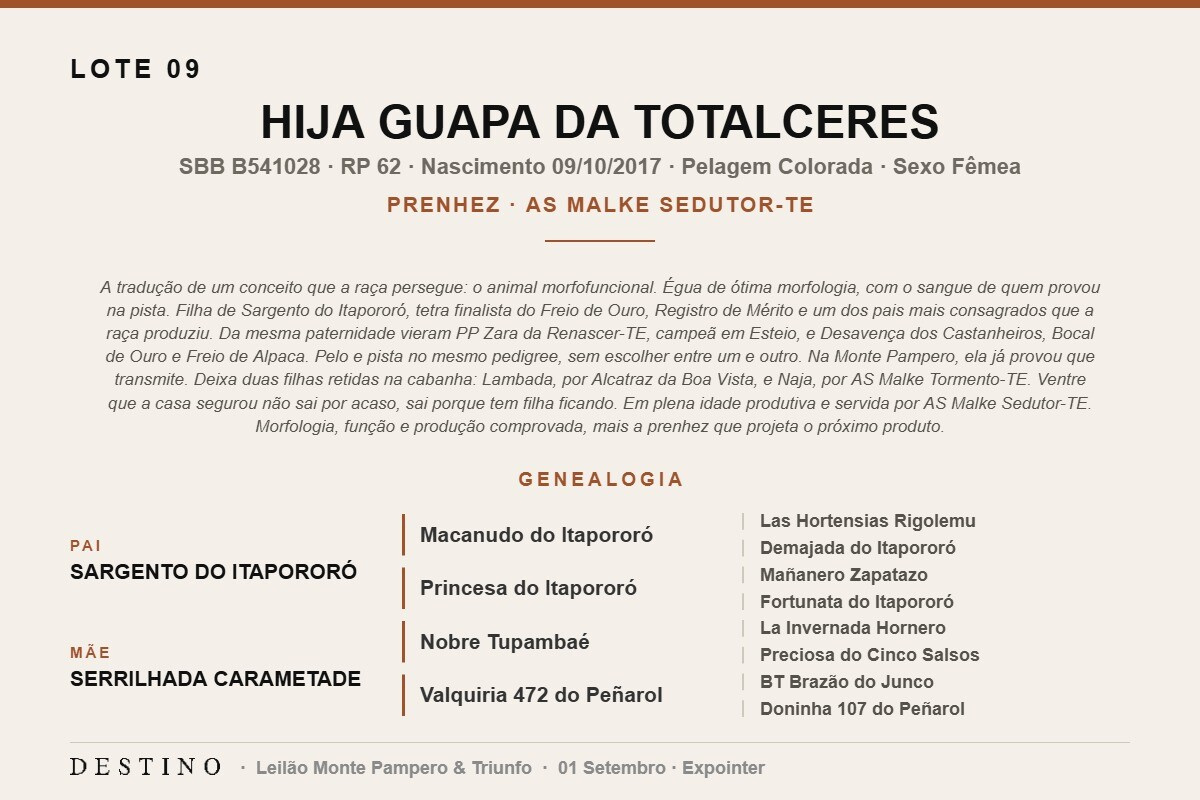 Geração HIJA GUAPA DA TOTALCERES