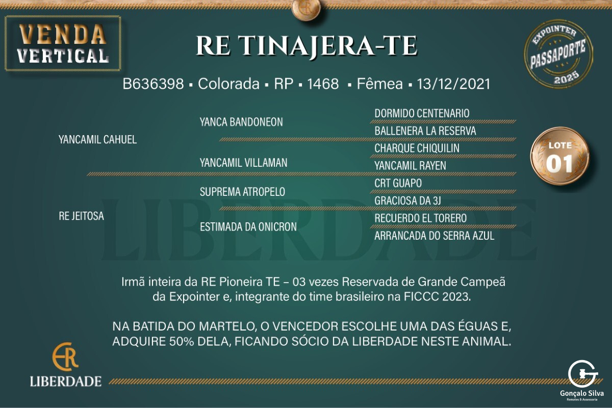 Geração RE TINAJERA-TE (Venda Vertical de 50%)