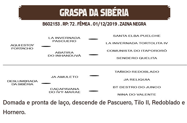 Geração GRASPA DA SIBERIA