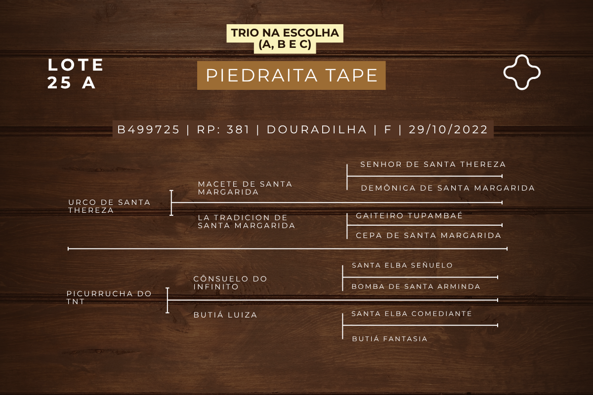 Geração NA ESCOLHA EMBRIÃO PIEDRAITA TAPE OU PLATA Y RIENDA TAPE OU QUILLAHUE TAPE