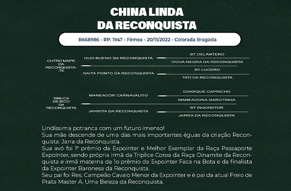 Geração CHINA LINDA DA RECONQUISTA