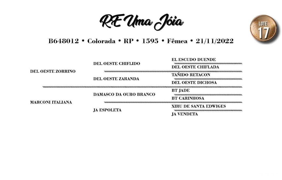 Geração RE UMA JÓIA (VENDA VERTICAL)