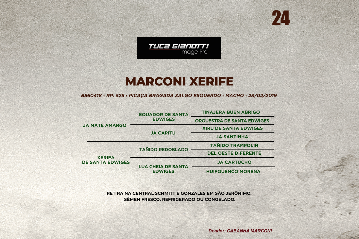 Geração MARCONI XERIFE 