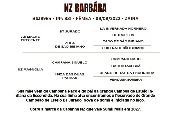 Geração NZ BARBÁRA