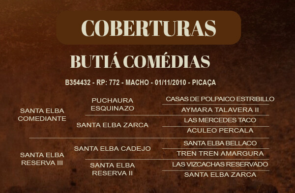 Geração COBERTURA BUTIÁ COMÉDIAS 