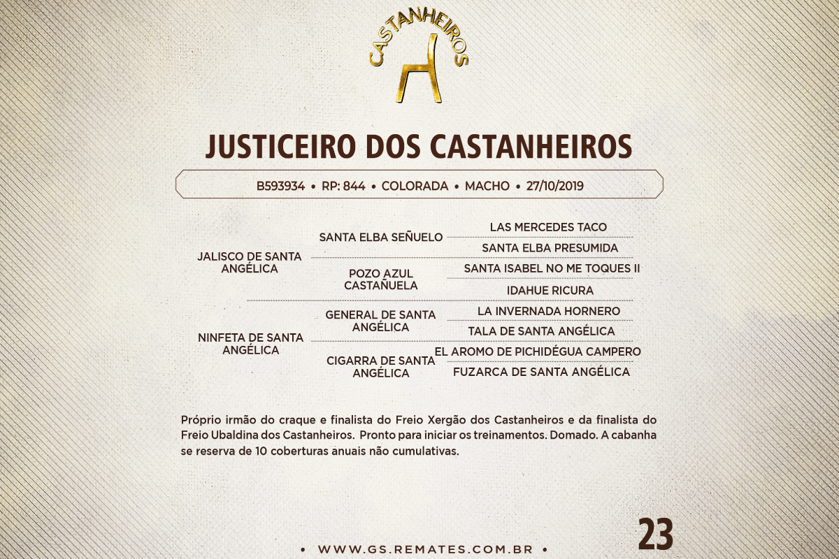 Geração JUSTICEIRO DOS CASTANHEIROS