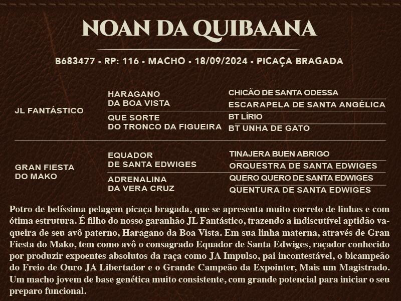 Geração NOAN DA QUIBAANA