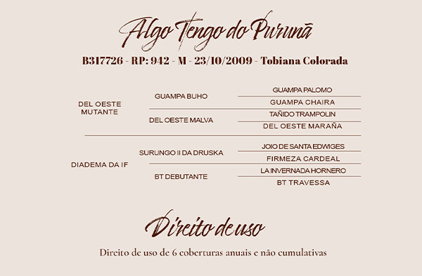 Geração DIREITO DE USO DE ALGO TENGO DO PURUNA
