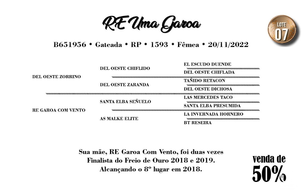Geração RE UMA GAROA - VENDA DE 50%