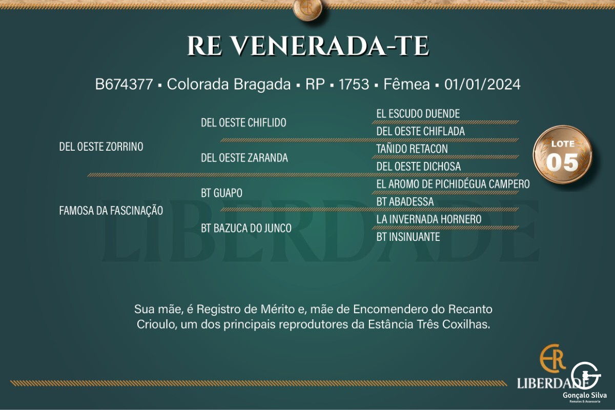 Geração  RE VENERADA-TE