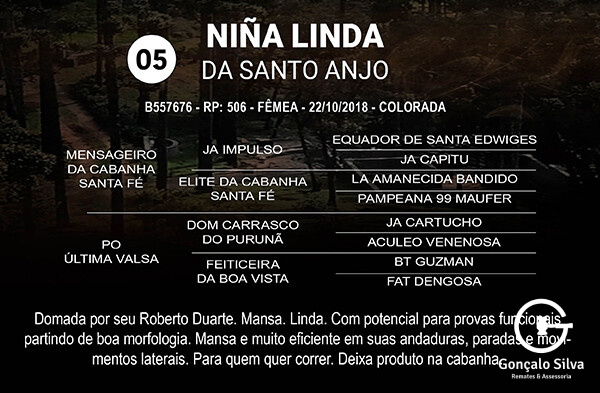 Geração NIÑA LINDA DA SANTO ANJO 