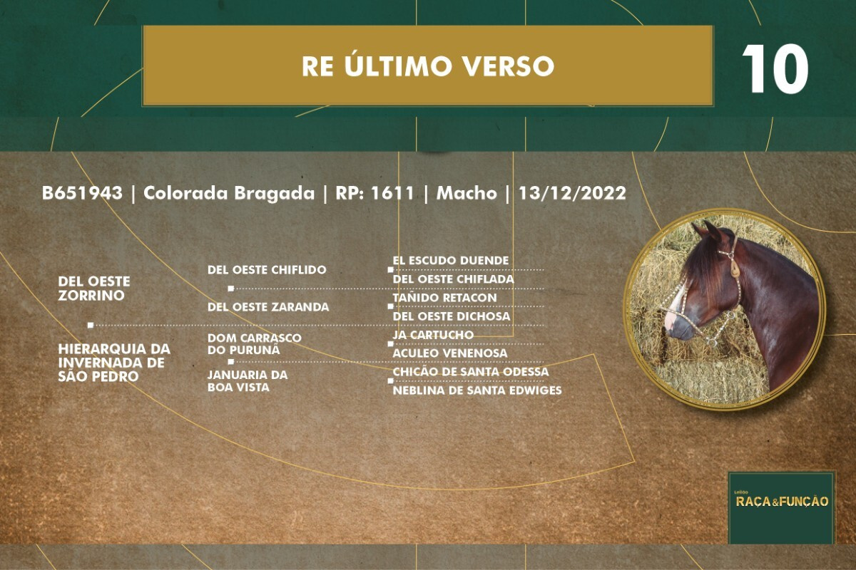 Geração RE ULTIMO VERSO