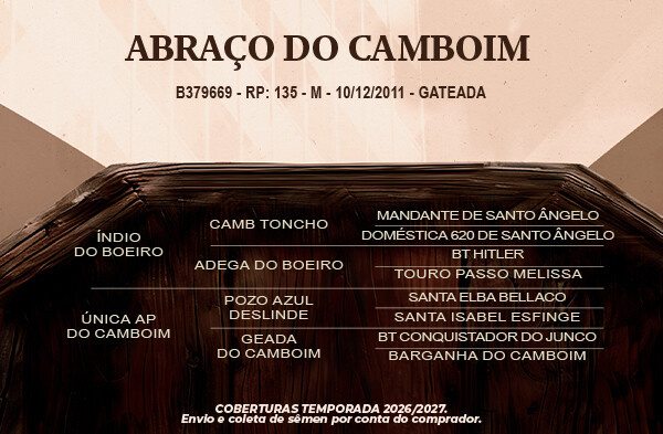 Geração Abraço do Camboim