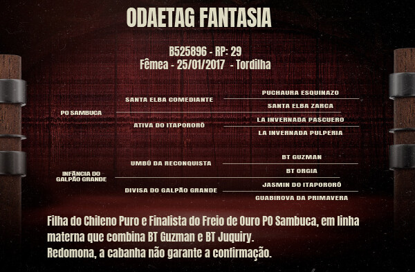Geração ODAETAG FANTASIA