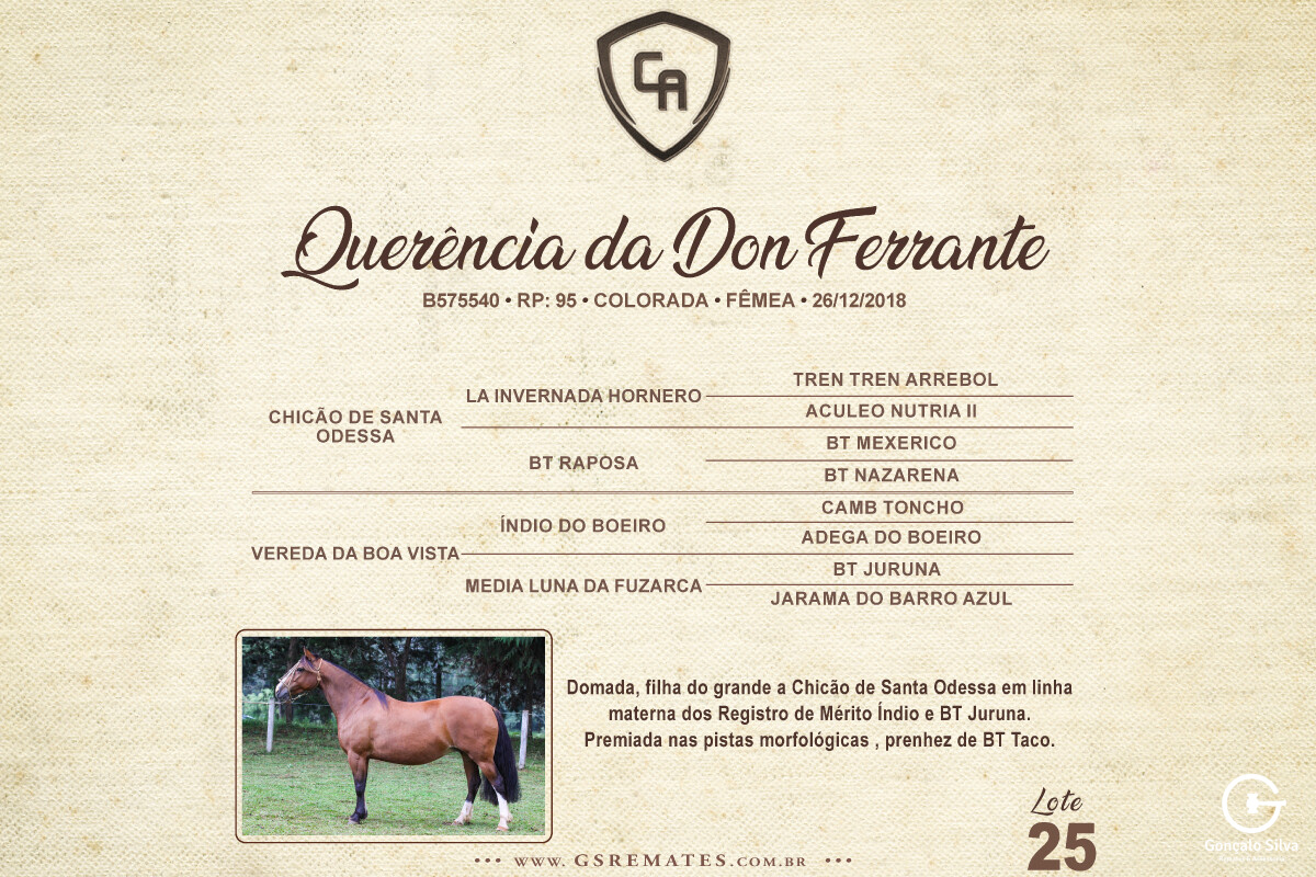 Geração QUERÊNCIA DA DON FERRANTE