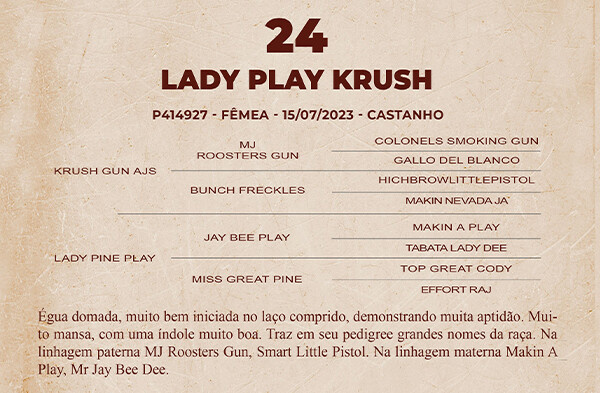Geração LADY PLAY KRUSH