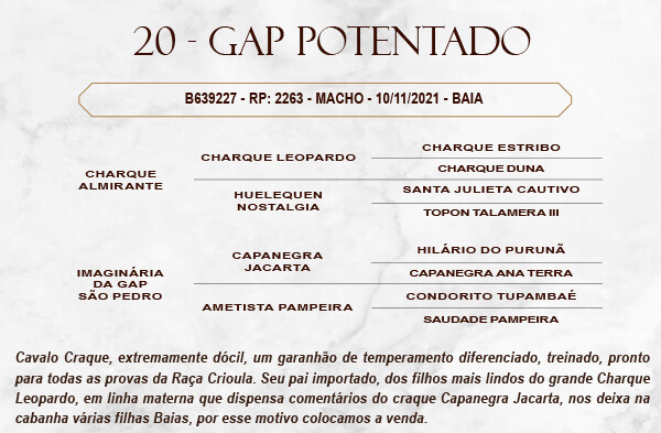 Geração GAP POTENTADO