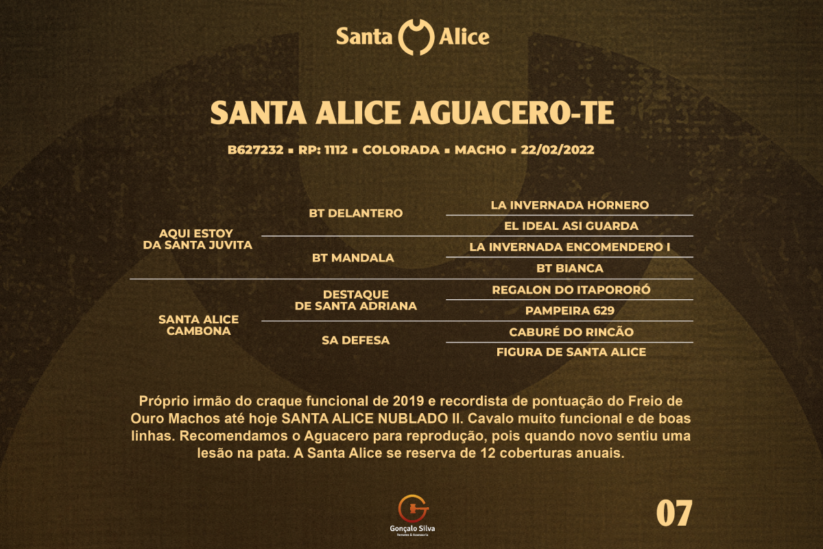Geração SANTA ALICE AGUACERO - TE 