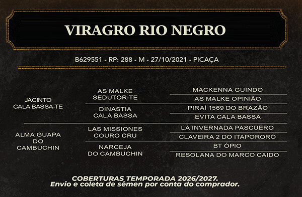 Geração VIRAGRO RIO NEGRO 
