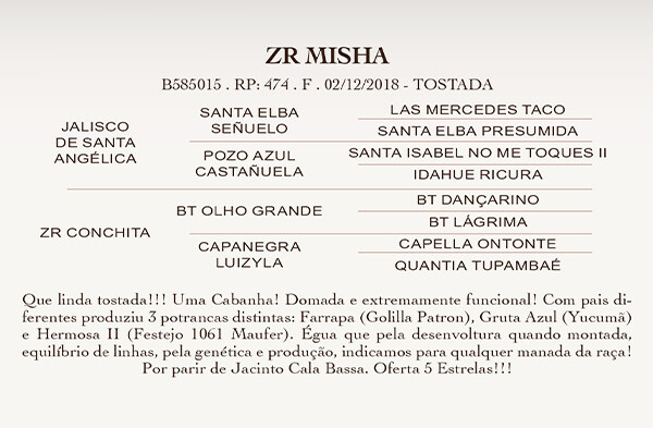 Geração ZR MISHA