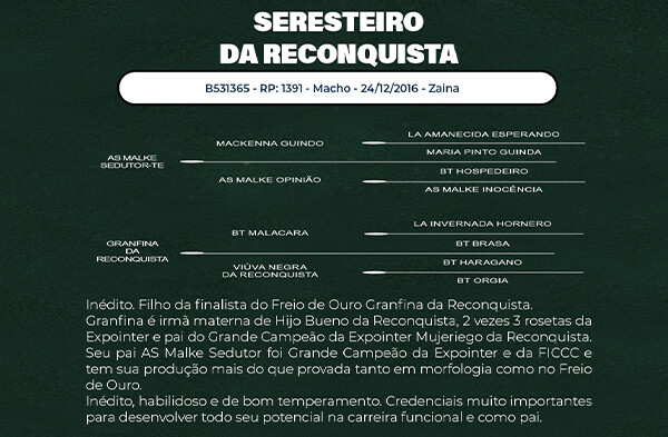 Geração SERESTEIRO DA RECONQUISTA