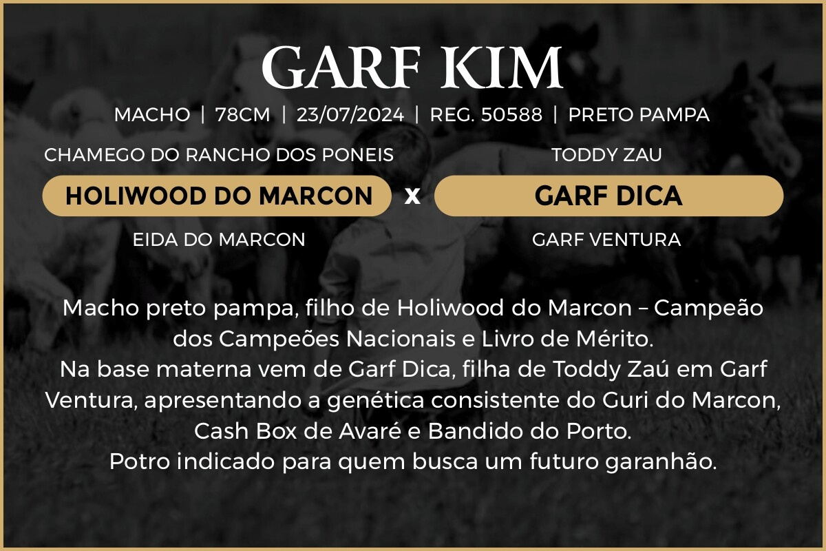 Geração GARF KIM