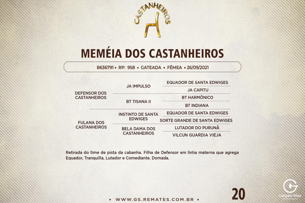 Geração MEMÉIA DOS CASTANHEIROS
