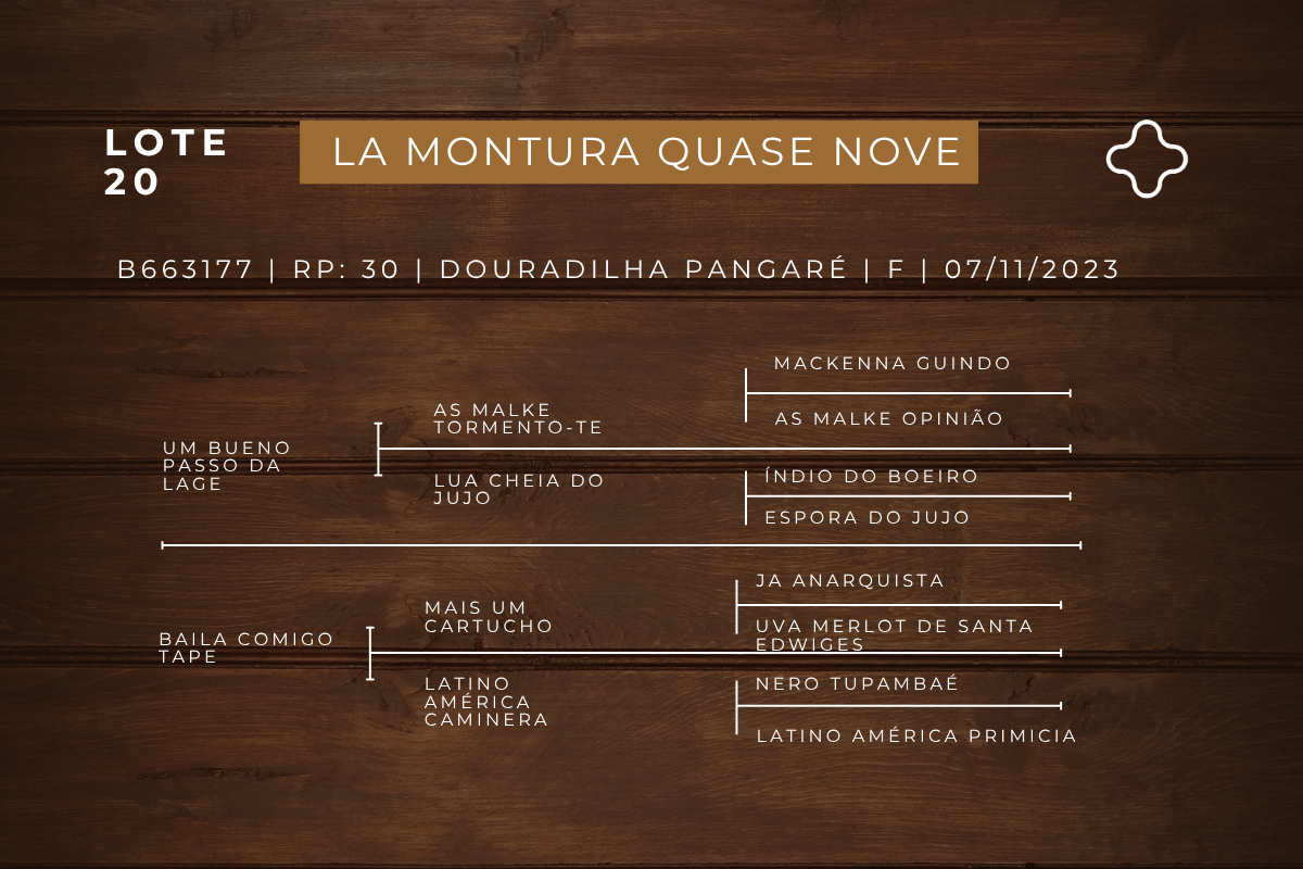 Geração LA MONTURA QUASE NOVE