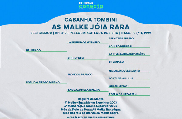 Geração AS MALKE JÓIA RARA - (ELEIÇÃO DE EMBRIÃO)