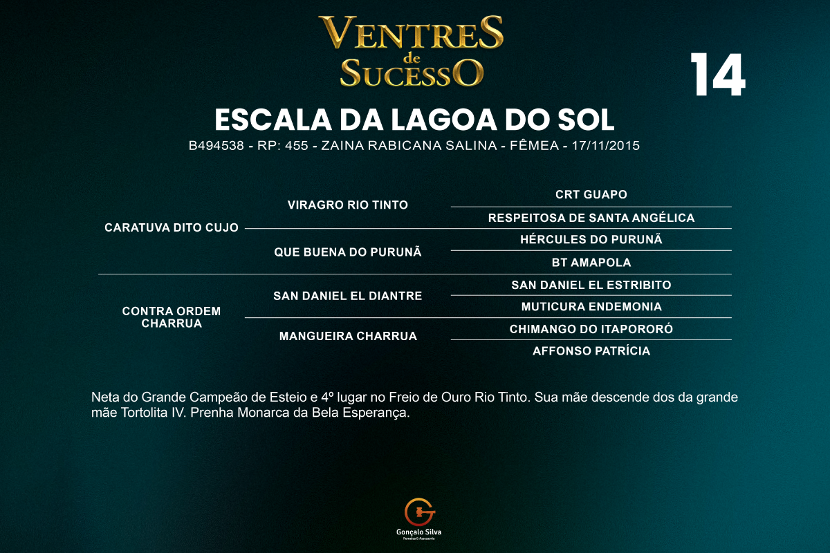 Geração ESCALA DA LAGOA DO SOL