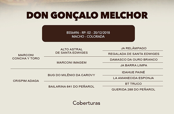 Geração COBERTURA DON GONÇALO MELCHOR