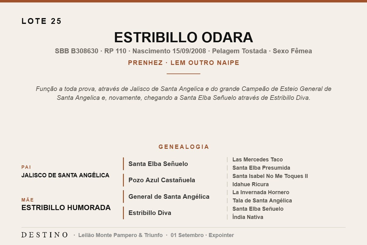 Geração ESTRIBILLO ODARA